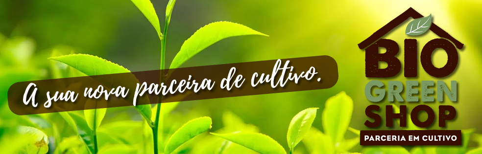 banner1