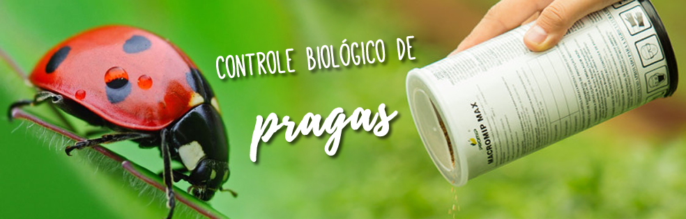 banner3