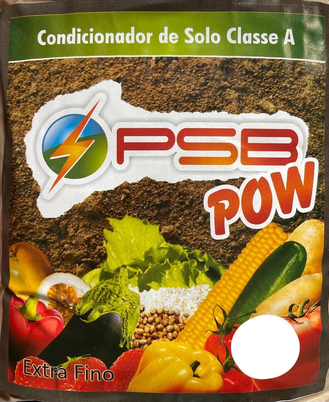 PSB POW 100g - *** BioSymphony em pó ***